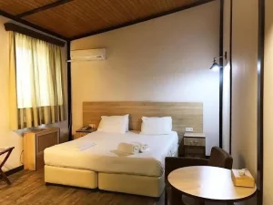 هتل ارمنیا ویلج پارک ایروان (Armenian Village Park Hotel) - 3