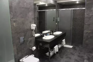 هتل اربونی ایروان (Hotel Erebuni) - 5