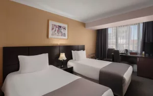 هتل آنی پلازا ایروان (Ani Plaza Hotel) - 6